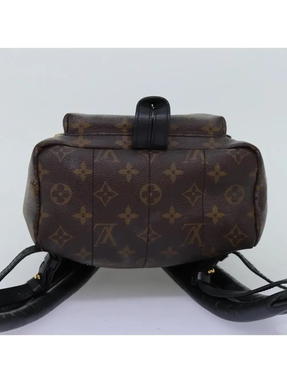Louis Vuitton Palm Springs Pm Backpack #344183L58B